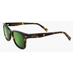 POLAR GOLD 154 428 51