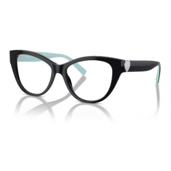 TIFFANY & CO. 2251 8406 53