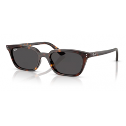 RAY BAN ZAYA RB 4456 1359...
