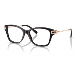 TIFFANY & CO. 2266 8001 53