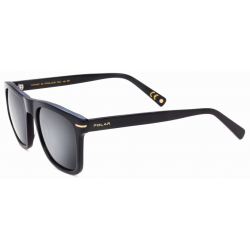 POLAR GOLD 3018 77 53