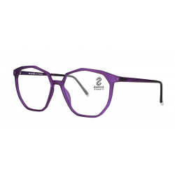 STEPPER STS 10120 F800 53