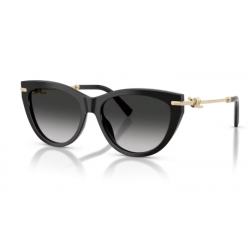 TIFFANY & CO. 4253 8001 3C 55